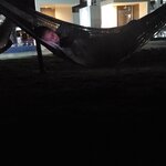 Photo taken by Camille S