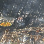 Photo taken by Gaia B