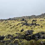 Photo taken by Tom B