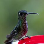 Photo taken by Sabine V