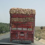 Photo taken by Paula H