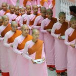 Photo taken by Pip S