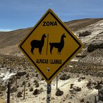 Photo taken by Donna W