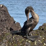 Photo taken by Mark A