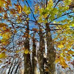 Photo taken by KHEE BOON L