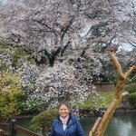 Photo taken by Hector R