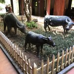 Photo taken by Steve B