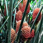 Photo taken by Sophie E