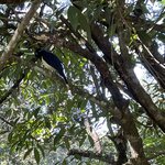 Photo taken by Graciela P