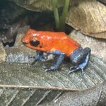 Photo taken by katie u