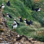 Photo taken by Ken J