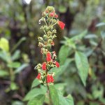 Photo taken by Michelle C