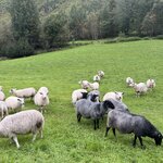 Photo taken by Kim M