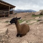 Photo taken by Anna Mae R