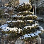 Photo taken by Daniel D