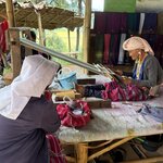 Photo taken by Paulette D