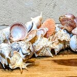 Photo taken by Daniel S