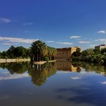 Photo taken by Lisa R