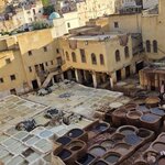 Photo taken by Shelley H