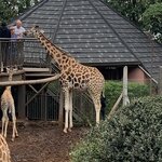 Photo taken by Peter H