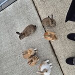 Photo taken by Zulhelmi R