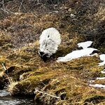 Photo taken by stefanie c