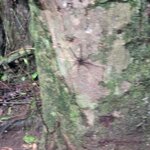 Photo taken by Esther B