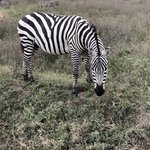 Photo taken by Virginia H