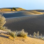 Thar Desert | Photo taken by Jean M