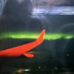 Photo taken by Christa C