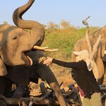 Photo taken by Tom B