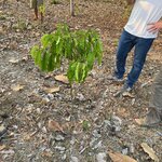 Photo taken by Marur Dev D