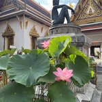 Photo taken by Kristen M