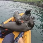 Photo taken by Ben S