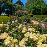 Photo taken by Trent G