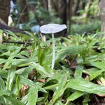 Photo taken by Alexia M