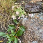 Photo taken by Eliza M