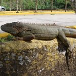 Photo taken by Wilbert A