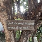 Photo taken by Debra Z