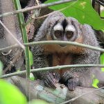 Photo taken by Jeff G