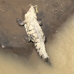 Photo taken by Anna L