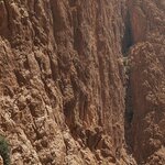 Photo taken by Beth M