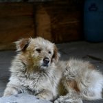 Photo taken by Tyler W