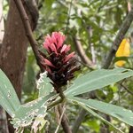 Photo taken by Paulette D