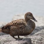 Photo taken by Amanda Z