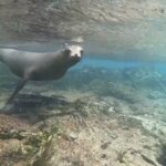 Photo taken by Stephanie A