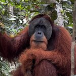 Photo taken by Judith D