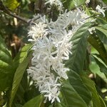 Photo taken by Dixie W