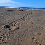 Photo taken by Linda P