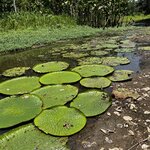 Photo taken by Kelly K